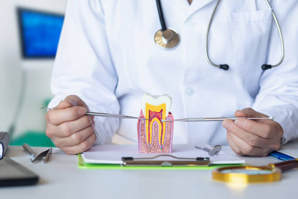 Best Urgent Care for Lost Fillings or Crowns in Bristol, CT